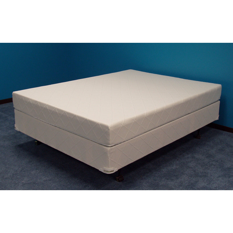 Strobel Technologies Winners American Pharoah No Cover Top Only 6" Semi